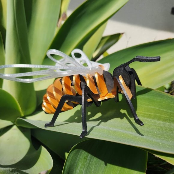 Bee Model Honeybee 3D Puzzle Honey Bees Classroom Science STEM Craft Insect bug - Picture 6 of 6